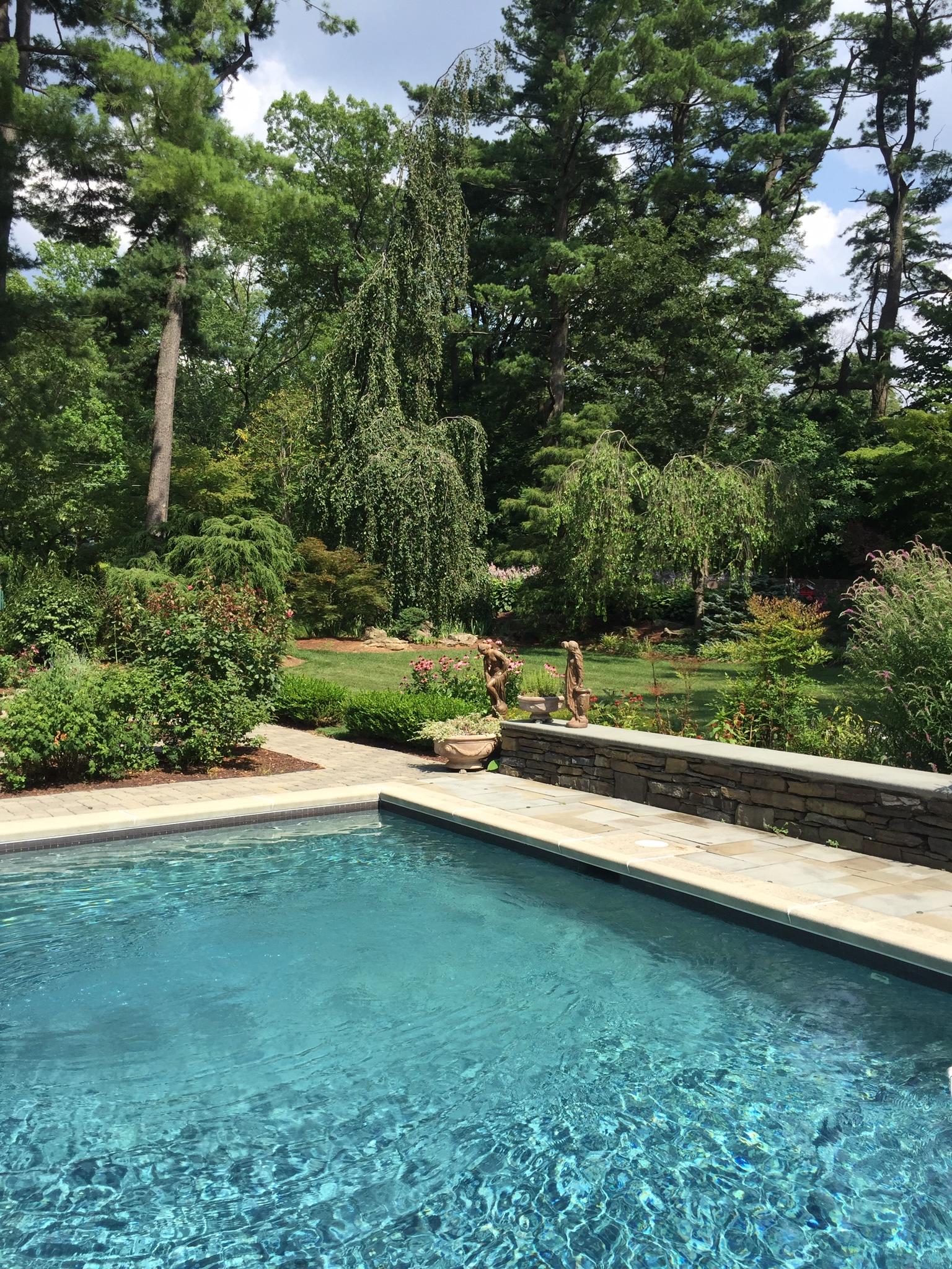Pool and Your Personal Arboretum